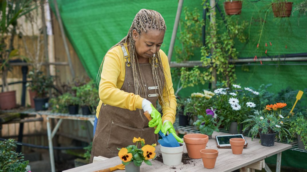 Older adult female potting a plant outdoors.