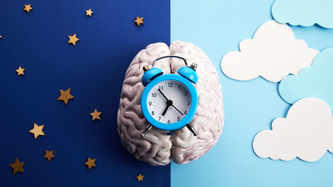 Image of brain and clock signifying circadian rhythm