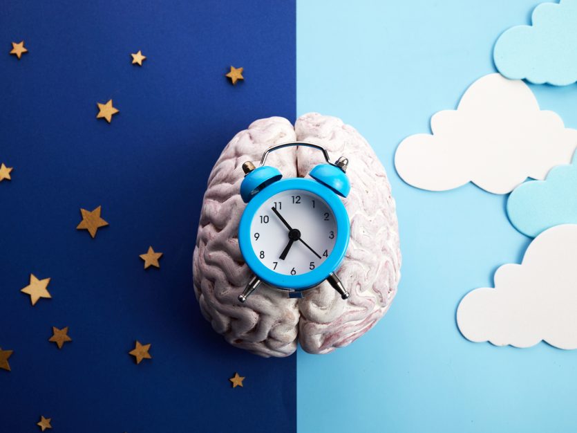 Image of brain and clock signifying circadian rhythm