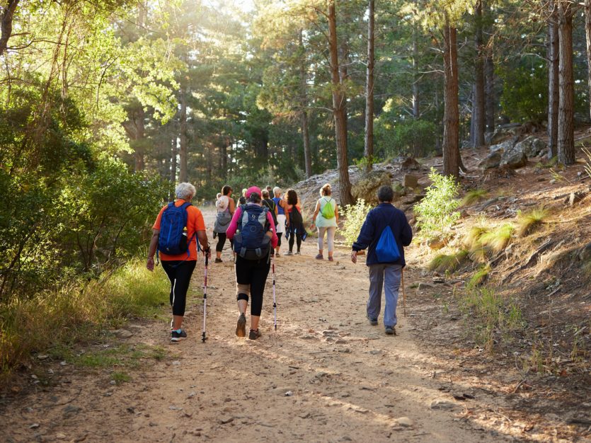 Group of older adults hiking.