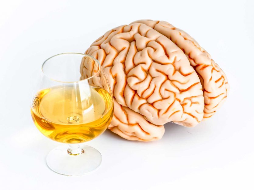 brain alcohol