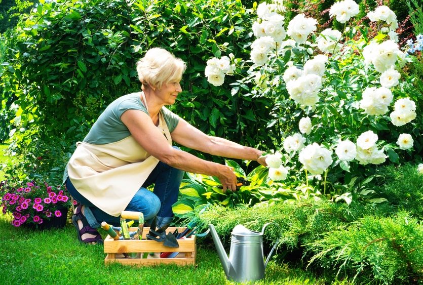 Senior woman tending to blooming flowers - summer checklist for seniors