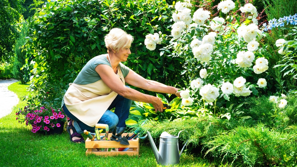 Aging Safely at Home: Late Summer Checklist for Canadian Homes 1 Senior woman tending to blooming flowers - summer checklist for seniors