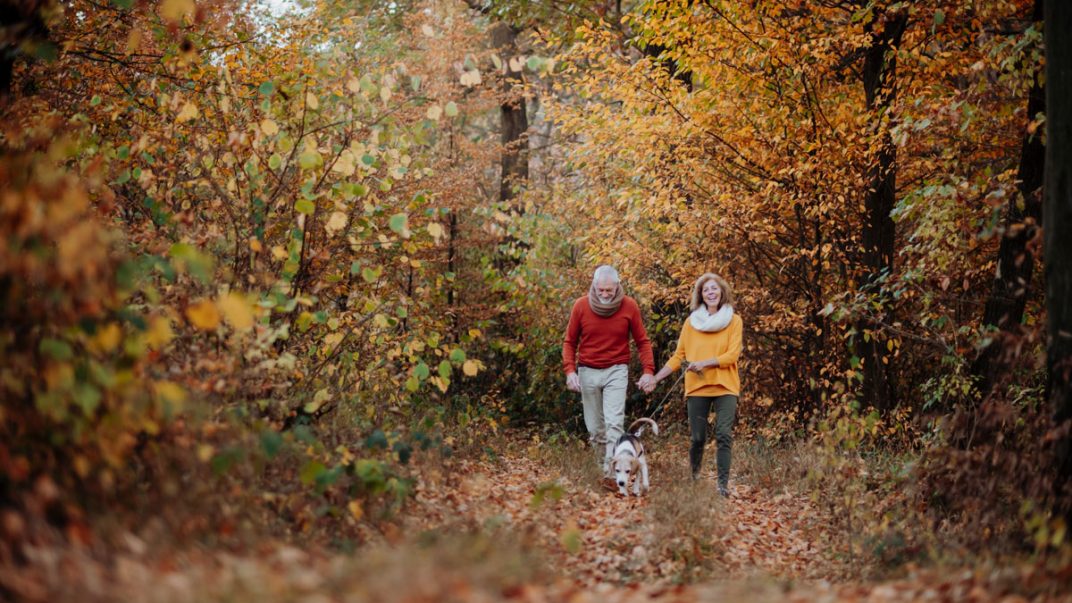 Five fall activities for older adults to boost well-being 1 fall activities for older adults