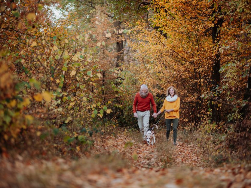 fall activities for older adults